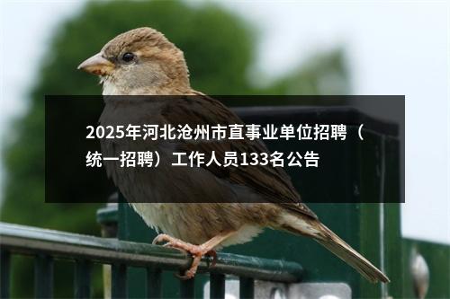 2025年河北沧州市直事业单位招聘（统一招聘）工作人员133名公告 图片