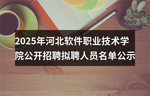 2025年河北软件职业技术学院公开招聘拟聘人员名单公示 图片