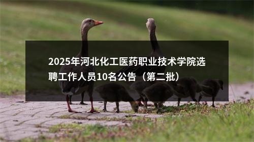 2025年河北化工医药职业技术学院选聘工作人员10名公告（第二批） 图片
