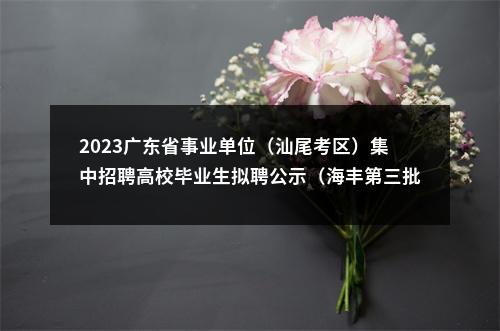 2023广东省事业单位（汕尾考区）集中招聘高校毕业生拟聘公示（海丰第三批） 图片