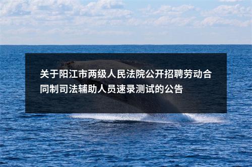 关于阳江市两级人民法院公开招聘劳动合同制司法辅助人员速录测试的公告 图片