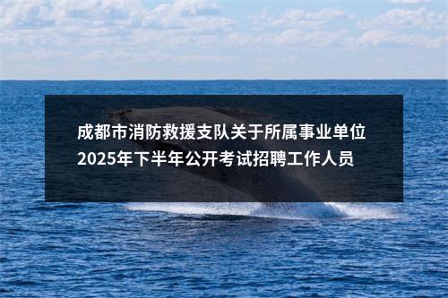 成都市消防救援支队关于所属事业单位 2025年下半年公开考试招聘工作人员公告（1人） 图片