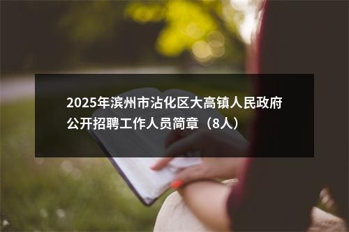 2025年滨州市沾化区大高镇人民政府公开招聘工作人员简章（8人） 图片