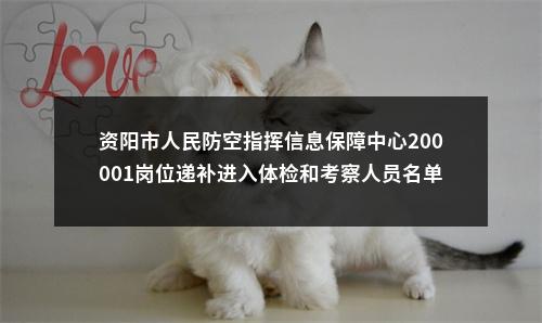 资阳市人民防空指挥信息保障中心200001岗位递补进入体检和考察人员名单的公告 图片