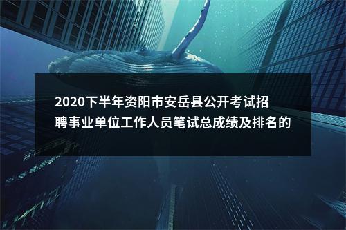 2020下半年资阳市安岳县公开考试招聘事业单位工作人员笔试总成绩及排名的公告 图片
