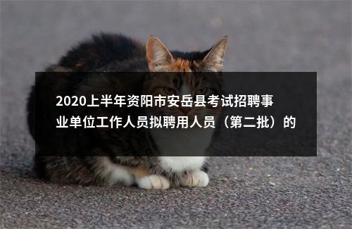 2020上半年资阳市安岳县考试招聘事业单位工作人员拟聘用人员（第二批）的公示 图片