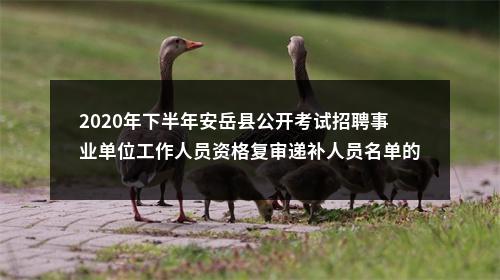 2020年下半年安岳县公开考试招聘事业单位工作人员资格复审递补人员名单的公告 图片