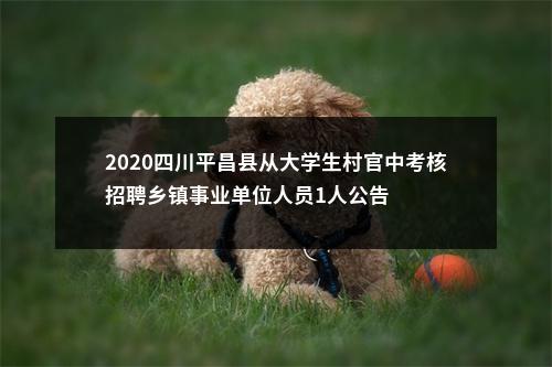 雁江区2024年公开考试招聘事业单位工作人员资格复审递补的公告 图片