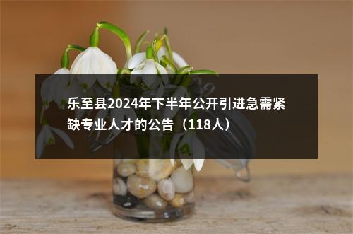 乐至县2024年下半年公开引进急需紧缺专业人才的公告（118人） 图片