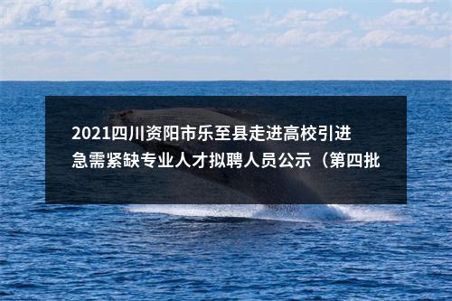 2021四川资阳市乐至县走进高校引进急需紧缺专业人才拟聘人员公示（第四批） 图片
