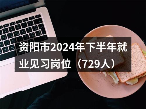 资阳市2024年下半年就业见习岗位（729人） 图片