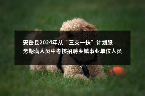 安岳县2024年从“三支一扶”计划服务期满人员中考核招聘乡镇事业单位人员面试成绩和体检人员名单的公告 图片