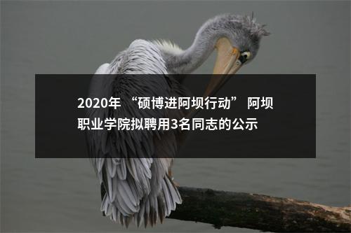 2020年 “硕博进阿坝行动” 阿坝职业学院拟聘用3名同志的公示 图片