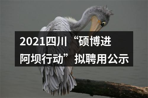 2021四川“硕博进阿坝行动”拟聘用公示 图片