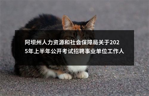 阿坝州人力资源和社会保障局关于2025年上半年公开考试招聘事业单位工作人员政策性加分时间和地点的公告 图片