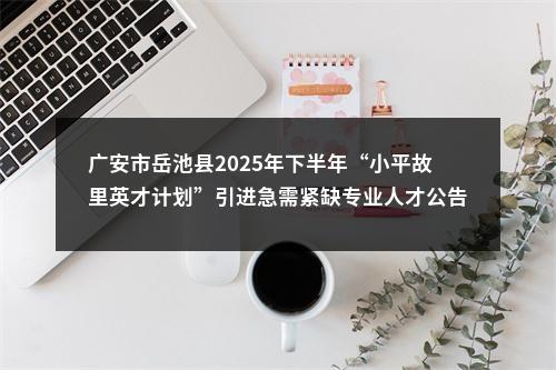 广安市岳池县2025年下半年“小平故里英才计划”引进急需紧缺专业人才公告 图片