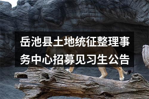 2020年甘孜州考核招聘综合类（含卫生）事业单位工作人员的补充公告 图片