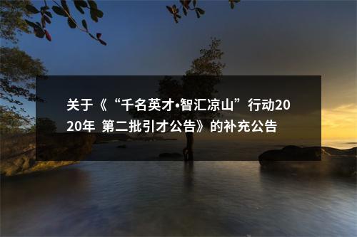 关于《“千名英才•智汇凉山”行动2020年  第二批引才公告》的补充公告 图片
