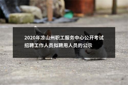 2020年凉山州职工服务中心公开考试招聘工作人员拟聘用人员的公示 图片