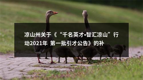 凉山州关于《“千名英才•智汇凉山”行动2021年  第一批引才公告》的补充公告 图片