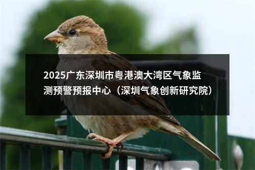 2025广东深圳市粤港澳大湾区气象监测预警预报中心（深圳气象创新研究院）商务岗、气象服务岗、财务岗位招聘公告进入阅读模式 图片