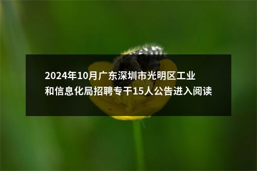 2024年10月广东深圳市光明区工业和信息化局招聘专干15人公告进入阅读模式 图片
