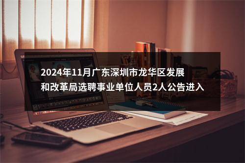 2024年11月广东深圳市龙华区发展和改革局选聘事业单位人员2人公告进入阅读模式 图片