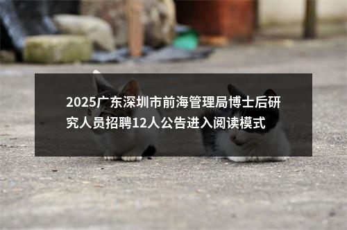 2025广东深圳市前海管理局博士后研究人员招聘12人公告进入阅读模式 图片