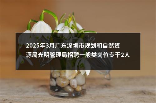 2025年3月广东深圳市规划和自然资源局光明管理局招聘一般类岗位专干2人公告进入阅读模式 图片