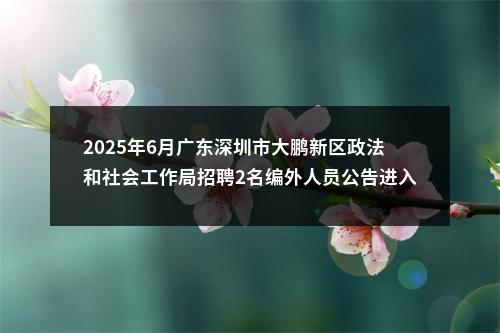 2025年6月广东深圳市大鹏新区政法和社会工作局招聘2名编外人员公告进入阅读模式 图片