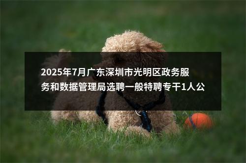 2025年7月广东深圳市光明区政务服务和数据管理局选聘一般特聘专干1人公告进入阅读模式 图片
