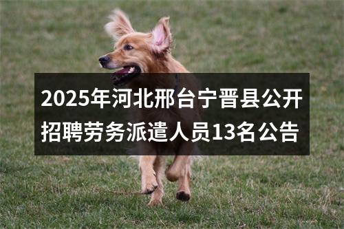2025年河北邢台宁晋县公开招聘劳务派遣人员13名公告 图片