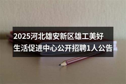 2025河北雄安新区雄工美好生活促进中心公开招聘1人公告 图片