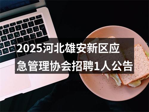 2025河北雄安新区应急管理协会招聘1人公告 图片