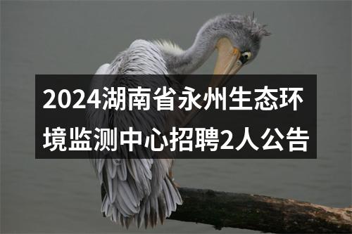 2024湖南省永州生态环境监测中心招聘2人公告 图片