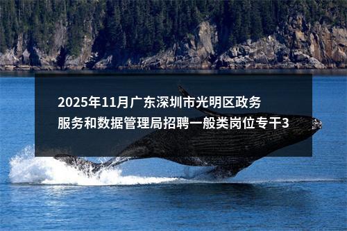 2025年11月广东深圳市光明区政务服务和数据管理局招聘一般类岗位专干3人公告进入阅读模式 图片