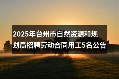 2025年台州市自然资源和规划局招聘劳动合同用工5名公告 图片