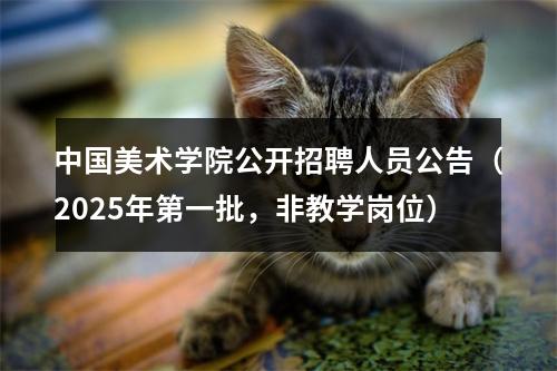 中国美术学院公开招聘人员公告（2025年第一批，非教学岗位） 图片