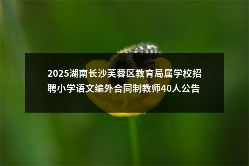 2025湖南长沙芙蓉区教育局属学校招聘小学语文编外合同制教师40人公告 图片