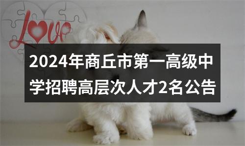 2024年商丘市第一高级中学招聘高层次人才2名公告 图片