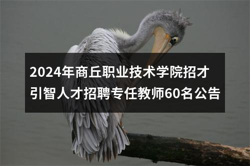 2024年商丘职业技术学院招才引智人才招聘专任教师60名公告 图片