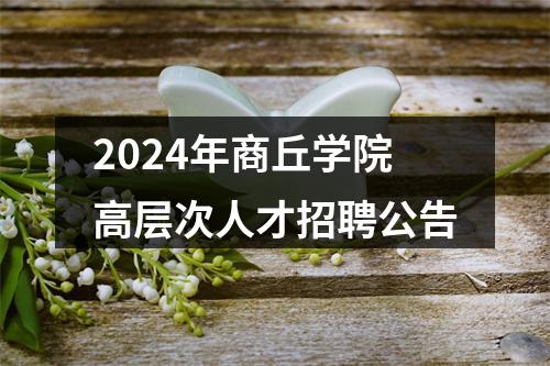 2024年商丘学院高层次人才招聘公告 图片