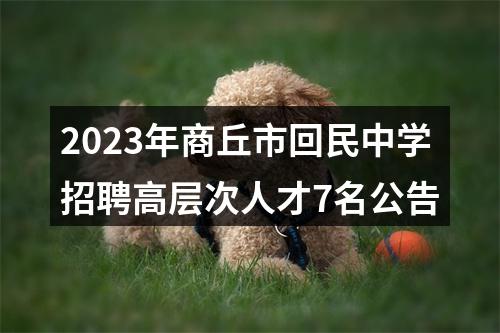 2023年商丘市回民中学招聘高层次人才7名公告 图片