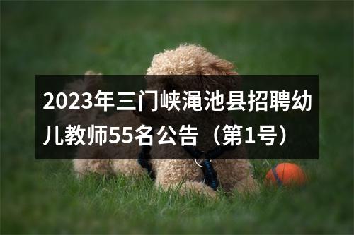 2023年三门峡渑池县招聘幼儿教师55名公告（第1号） 图片