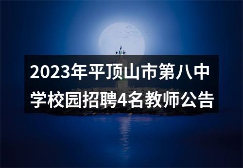 2023年平顶山市第八中学校园招聘4名教师公告 图片