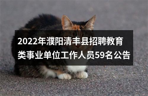 2022年濮阳清丰县招聘教育类事业单位工作人员59名公告 图片