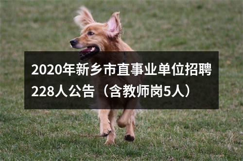 2020年新乡市直事业单位招聘228人公告（含教师岗5人） 图片