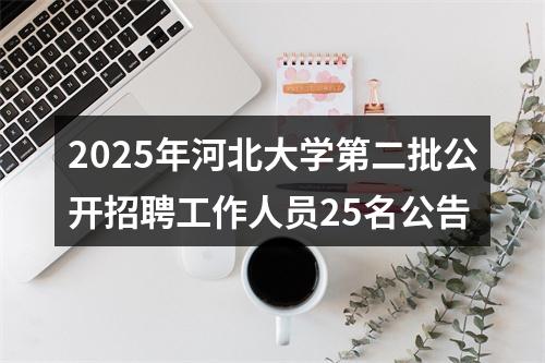 2025年河北大学第二批公开招聘工作人员25名公告 图片