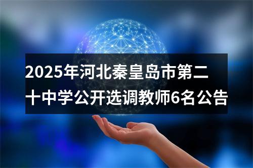 2025年河北秦皇岛市第二十中学公开选调教师6名公告 图片