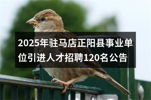 2025年驻马店正阳县事业单位引进人才招聘120名公告 图片